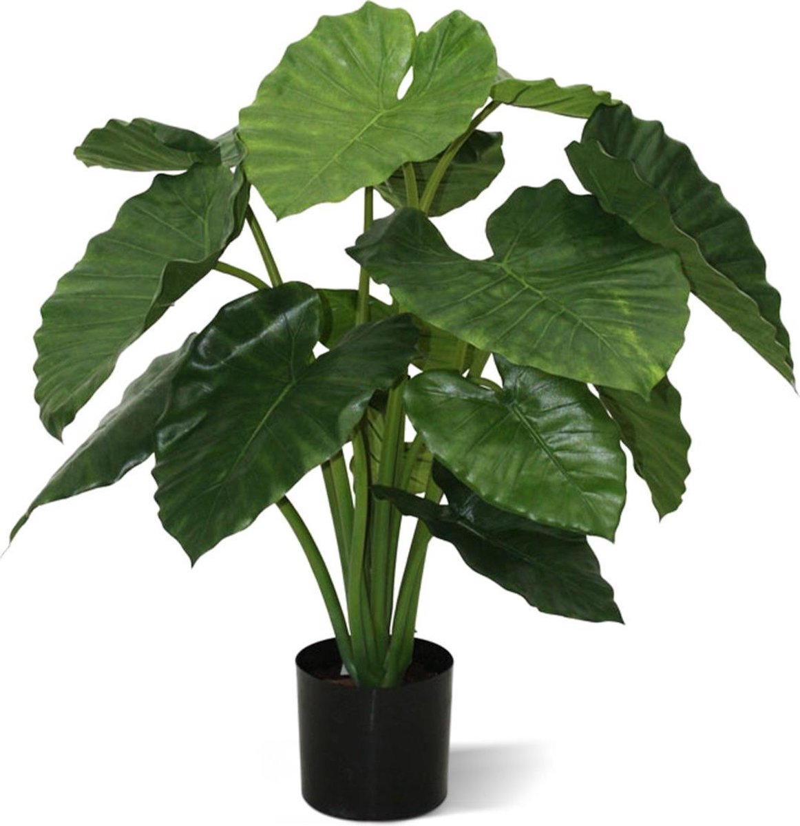 maxifleur Kunstplanten Alocasia Calidora kunstplant 80cm Groen