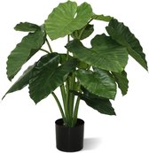 Maxifleur Kunstplanten - Kunst Alocasia - Kunstplant - Calidora - 80 cm - Niet van echt te onderscheiden!