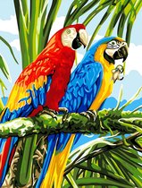 Schilderen Op Nummer Kinderen - Volwassenen - Papagaai - Opgerold kreukvrij canvas - Dieren - 40 x 50 Cm - Met opspan frame Lijst