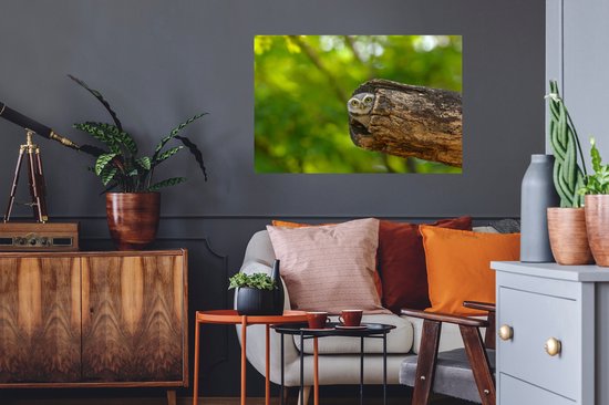 Sticker Muursticker Bébé Animaux - Brahminy petit hibou dans tronc d'arbre creux - 90x60 cm - film adhésif autocollant - sticker mural repositionnable