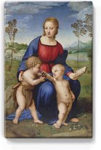 Madonna del Cardellino - Raffaello Sanzio - 19,5 x 30 cm - Niet van echt te onderscheiden houten schilderijtje - Mooier dan een schilderij op canvas - Laqueprint.