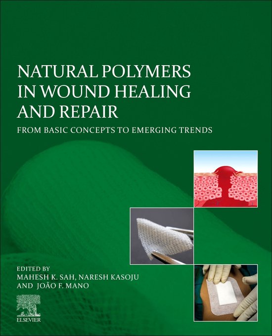 Natural Polymers in Wound Healing and Repair - cover