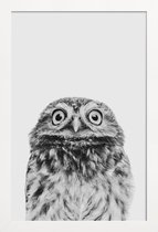 JUNIQE - Poster met houten lijst Owl Classic -13x18 /Wit & Zwart