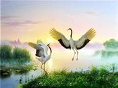 Diamond Painting Pakket - Kraanvogels - 40x30 cm - Complete Set - Volledige Bedekking - Ronde Steentjes