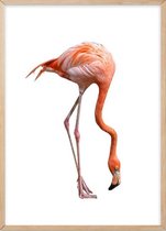 Poster Met Eiken Lijst - Love Flamingo Poster