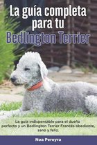 La Guía Completa Para Tu Bedlington terrier