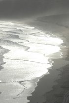 Tuinposter - Zee / Water - Strand in bruin / beige / wit / zwart - 60 x 90 cm.