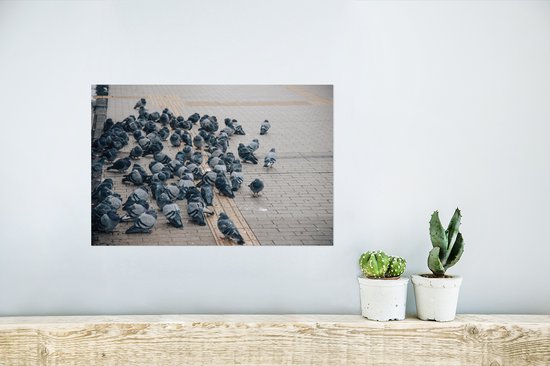 Affiche - Un grand groupe de pigeons dans la rue - 30x20 cm