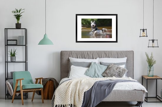 Photo encadrée - Cadre photo Husky dans l'eau noir avec passe-partout blanc 60x90 90x60 cm - Affiche encadrée (Décoration murale salon / chambre)