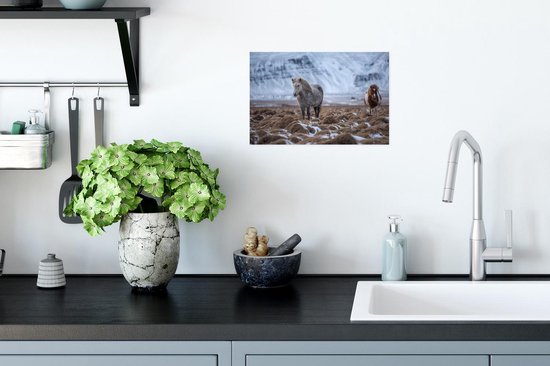 Affiche Islande - Paarden - Neige - 30x20 cm