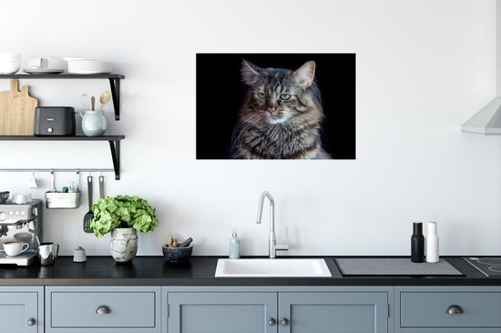 Poster Chat Maine Coon fond noir 90x60 cm - Tirage photo sur Poster (décoration murale salon / chambre) / Poster Animaux domestiques