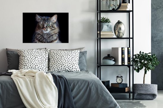 Poster Chat Maine Coon fond noir 90x60 cm - Tirage photo sur Poster (décoration murale salon / chambre) / Poster Animaux domestiques
