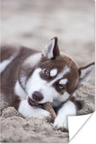 Poster Husky puppy op het strand - 60x90 cm
