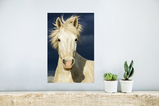 Affiche Cheval en Camargue - 20x30 cm