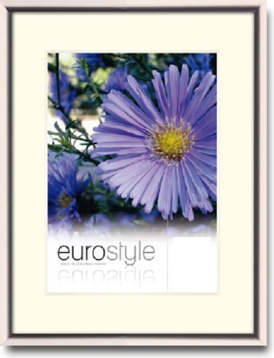 DFS Aluminium Fotolijst Es Glanzend Beige 21x29.7 cm