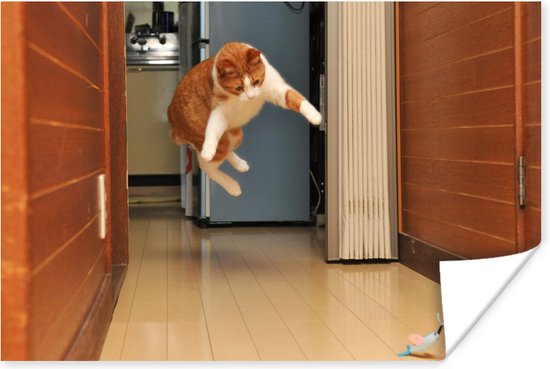 Kat springend naar speelgoed poster papier 120x80 cm - Foto print op Poster (wanddecoratie woonkamer / slaapkamer) / Huisdieren Poster
