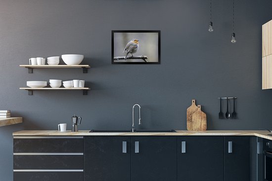 Cadre photo avec affiche - Robin - Branche - Hiver - 30x20 cm - Cadre pour affiche