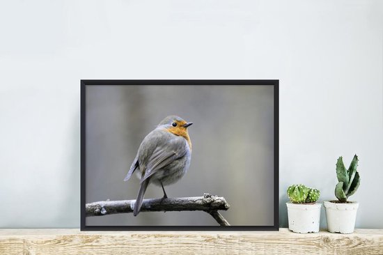 Cadre photo avec affiche - Robin - Branche - Hiver - 30x20 cm - Cadre pour affiche