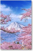 Fuji-berg en kersenbloesems in de lente, Japan - 1000 Stukjes puzzel voor volwassenen - Besteposter - Landschap