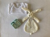Geboortejongenmeisje.nl - Brievenbus | Zwanger | Cadeau | Baby | Gender Neutraal | Jongen | Meisje| Kraamcadeau | Relatiegeschenk
