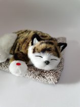 Elektronische pluche speelgoed kat
