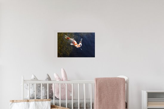 Sticker Muursticker carpe koï - Deux carpes koï dans l'eau - 30x20 cm - feuille adhésive autocollante - sticker mural repositionnable