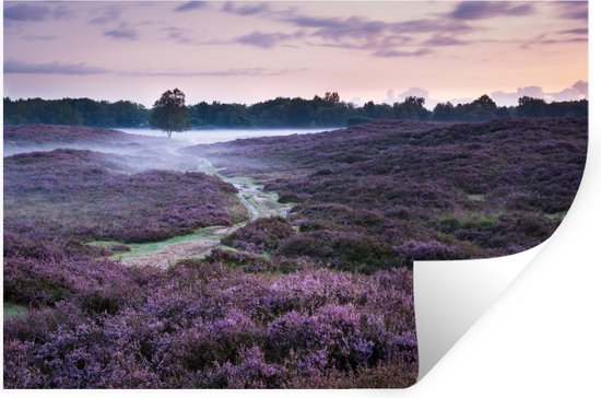 Sticker Muursticker Paysages de lande - Mist in heide - 60x40 cm - film autocollant - sticker mural repositionnable