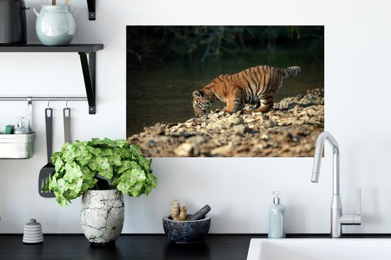 Sticker Muursticker Bébé tigre - bébé abeille tigre - 60x40 cm - feuille autocollante - sticker mural repositionnable