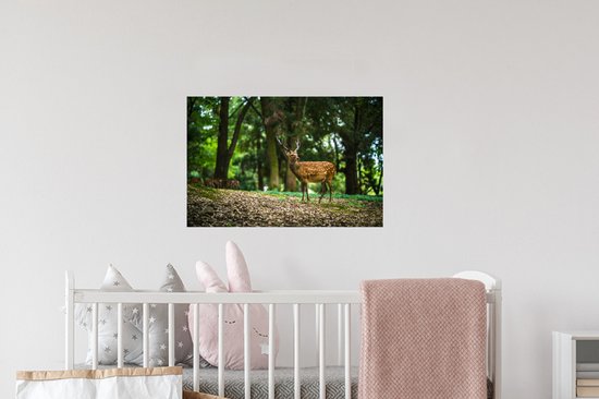 Sticker Muursticker Animaux Libres - Cerf au premier plan - 60x40 cm - film adhésif autocollant - sticker mural repositionnable