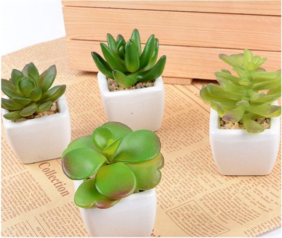 3 kleine nep plantjes in een witte pot