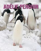 Adelie Penguin