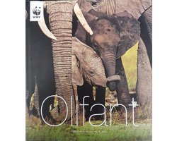 Olifant