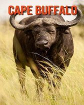 Cape Buffalo