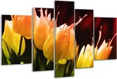 Glasschilderij Tulp - Oranje, Geel, Zwart - 170x100cm 5Luik - Foto Op Glas - Geen Acrylglas Schilderij - 6000+ Glasschilderijen Collectie - Wanddecoratie