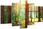 Glasschilderij Natuur - Groen, Geel, Bruin - 170x100cm 5Luik - Foto Op Glas - Geen Acrylglas Schilderij - 6000+ Glasschilderijen Collectie - Wanddecoratie