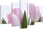 Glasschilderij Tulpen - Roze, Wit, Groen - 170x100cm 5Luik - Foto Op Glas - Geen Acrylglas Schilderij - 6000+ Glasschilderijen Collectie - Wanddecoratie