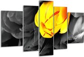 Glasschilderij Tulp - Geel, Grijs, Zwart - 170x100cm 5Luik - Foto Op Glas - Geen Acrylglas Schilderij - 6000+ Glasschilderijen Collectie - Wanddecoratie