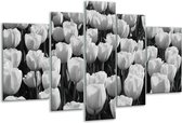 Peinture sur verre Fleur, Tulipes | Gris-noir | 170x100cm 5 Liège | Tirage photo sur verre |  F006537