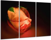 Glasschilderij Roos - Oranje, Zwart, Groen - 120x80cm 3Luik - Foto Op Glas - Geen Acrylglas Schilderij - GroepArt 6000+ Glas Art Collectie - Maatwerk Mogelijk