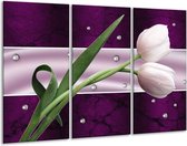 Peinture sur verre tulipe | Violet, vert, vert | 120x80cm 3 Liège | Tirage photo sur verre |  F005619