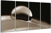 GroepArt - Glasschilderij - Macro - Sepia - 160x80cm 4Luik - Foto Op Glas - Geen Acrylglas Schilderij - 6000+ Glasschilderijen Collectie - Wanddecoratie