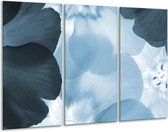 Glasschilderij Bloem - Blauw - 120x80cm 3Luik - Foto Op Glas - Geen Acrylglas Schilderij - GroepArt 6000+ Glas Art Collectie - Maatwerk Mogelijk