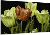 Glasschilderij Tulp - Groen, Bruin, Zwart - 120x70cm 1Luik - Foto Op Glas - Geen Acrylglas Schilderij - GroepArt 6000+ Glasschilderijen Art Collectie - Wanddecoratie - Woonkamer - Slaapkamer