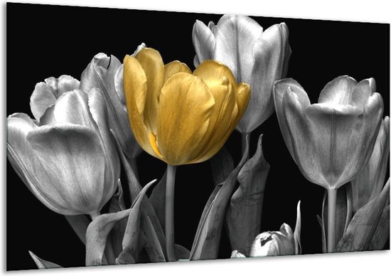 Glasschilderij Tulp | Goud, Zilver, Grijs | | Foto print op Glas |  F003624