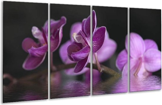 GroepArt - Glasschilderij - Orchidee - Paars, Zwart - 160x80cm 4Luik - Foto Op Glas - Geen Acrylglas Schilderij - 6000+ Glasschilderijen Collectie - Wanddecoratie