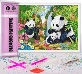 Compleet Full Diamond Painting voor volwassenen en kinderen - Panda beer familie - 30x40cm volledig pakket met accessoires - Cadeau tip