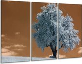 GroepArt - Schilderij -  Boom - Wit, Bruin, Zwart - 120x80cm 3Luik - 6000+ Schilderijen 0p Canvas Art Collectie