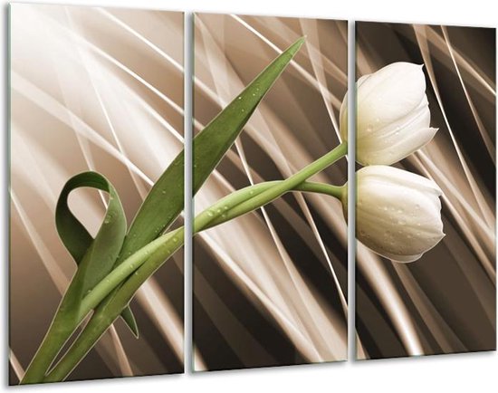 GroepArt - Schilderij -  Tulp - Bruin, Wit, Groen - 120x80cm 3Luik - 6000+ Schilderijen 0p Canvas Art Collectie