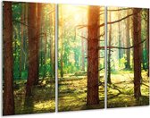 GroepArt - Schilderij -  Natuur - Groen, Geel, Bruin - 120x80cm 3Luik - 6000+ Schilderijen 0p Canvas Art Collectie
