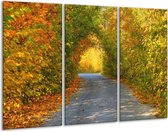 GroepArt - Schilderij -  Natuur - Groen, Bruin, Grijs - 120x80cm 3Luik - 6000+ Schilderijen 0p Canvas Art Collectie